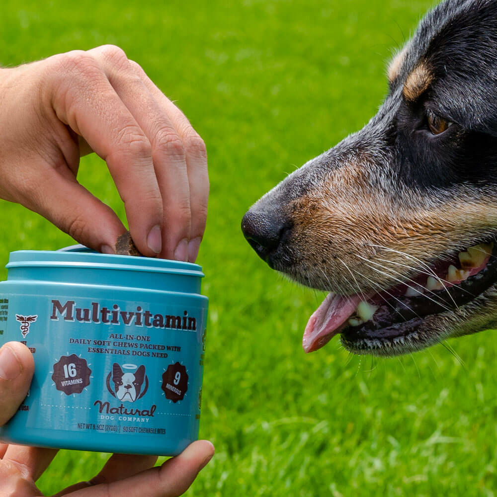 Pure Wellness for Every Wag