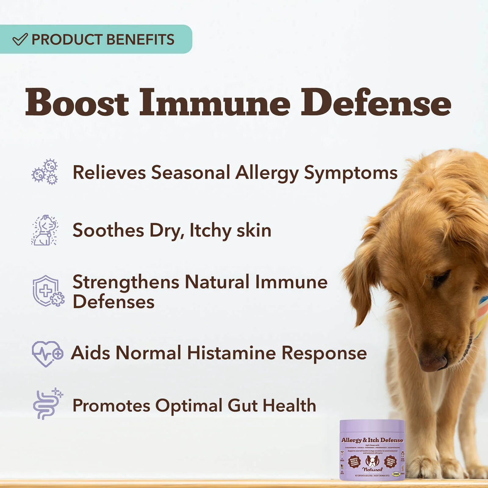 (30% Off First Month) Allergy & Itch Defense Supplement - Image 3