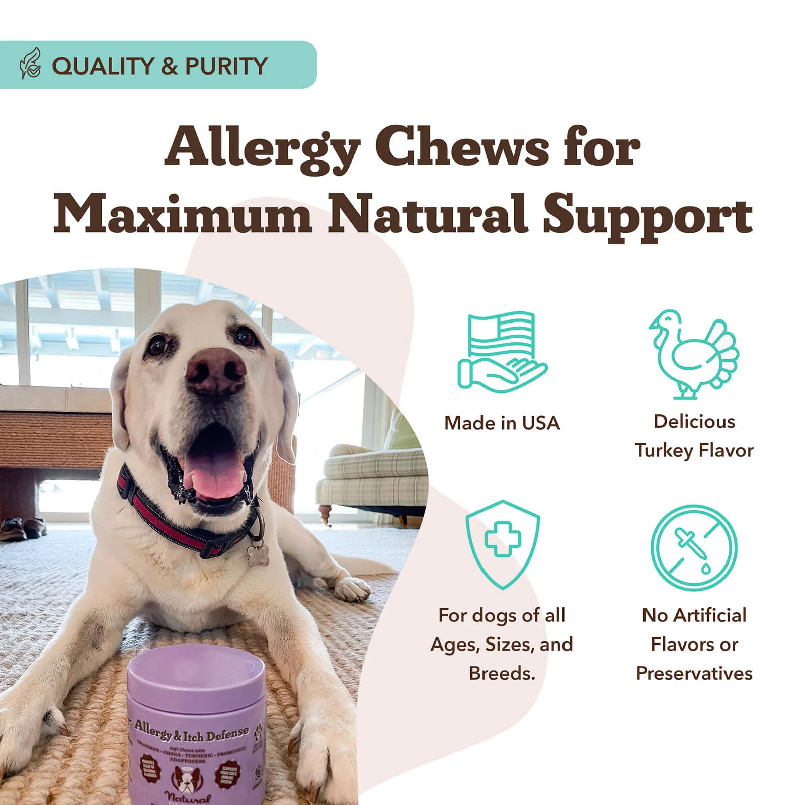 (30% Off First Month) Allergy & Itch Defense Supplement - Image 4