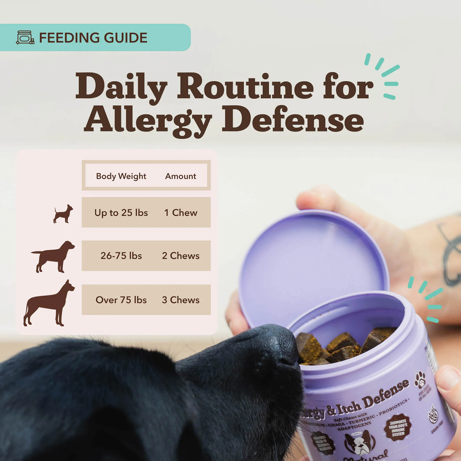 (30% Off First Month) Allergy & Itch Defense Supplement - Image 6