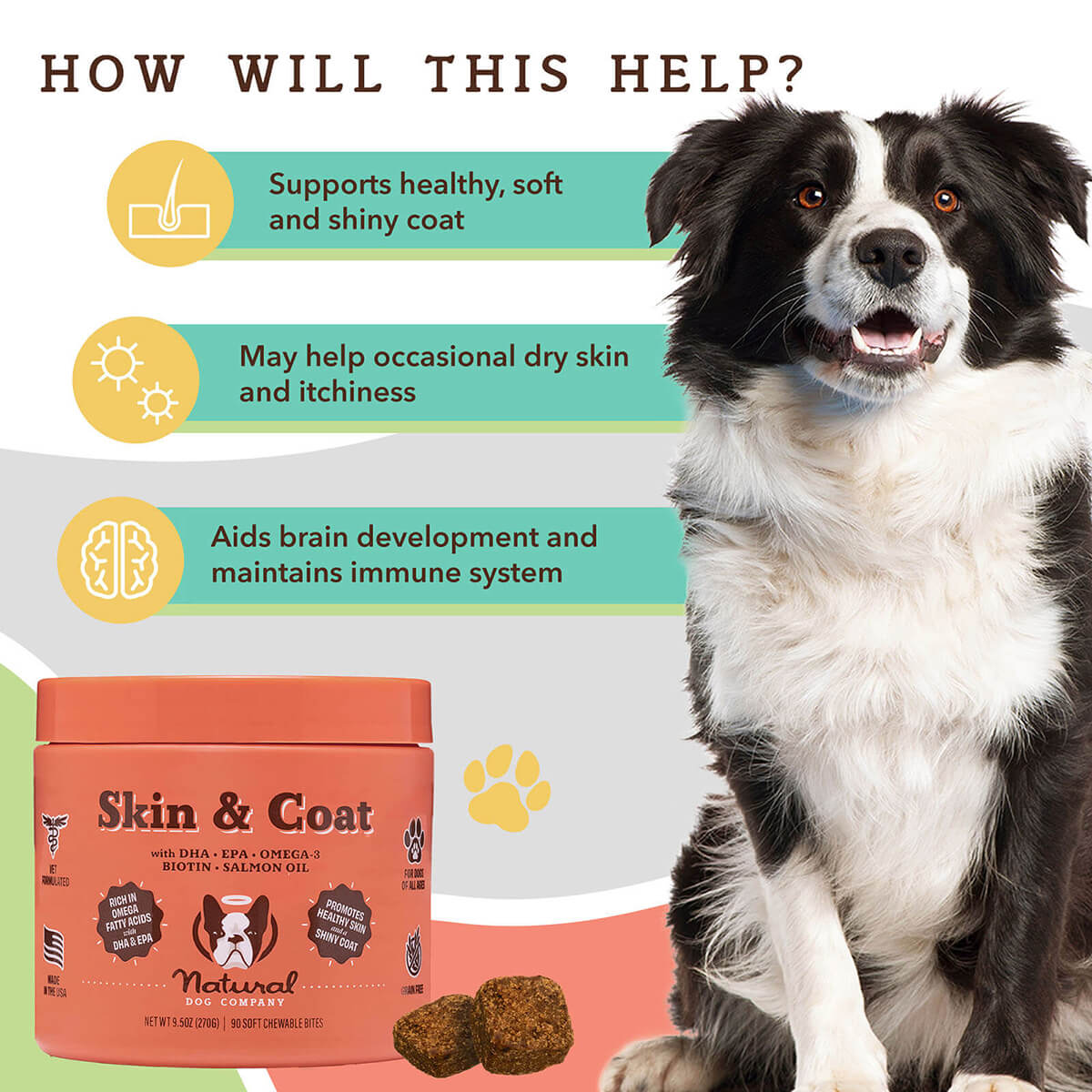 Skin & Coat Supplement - Image 3