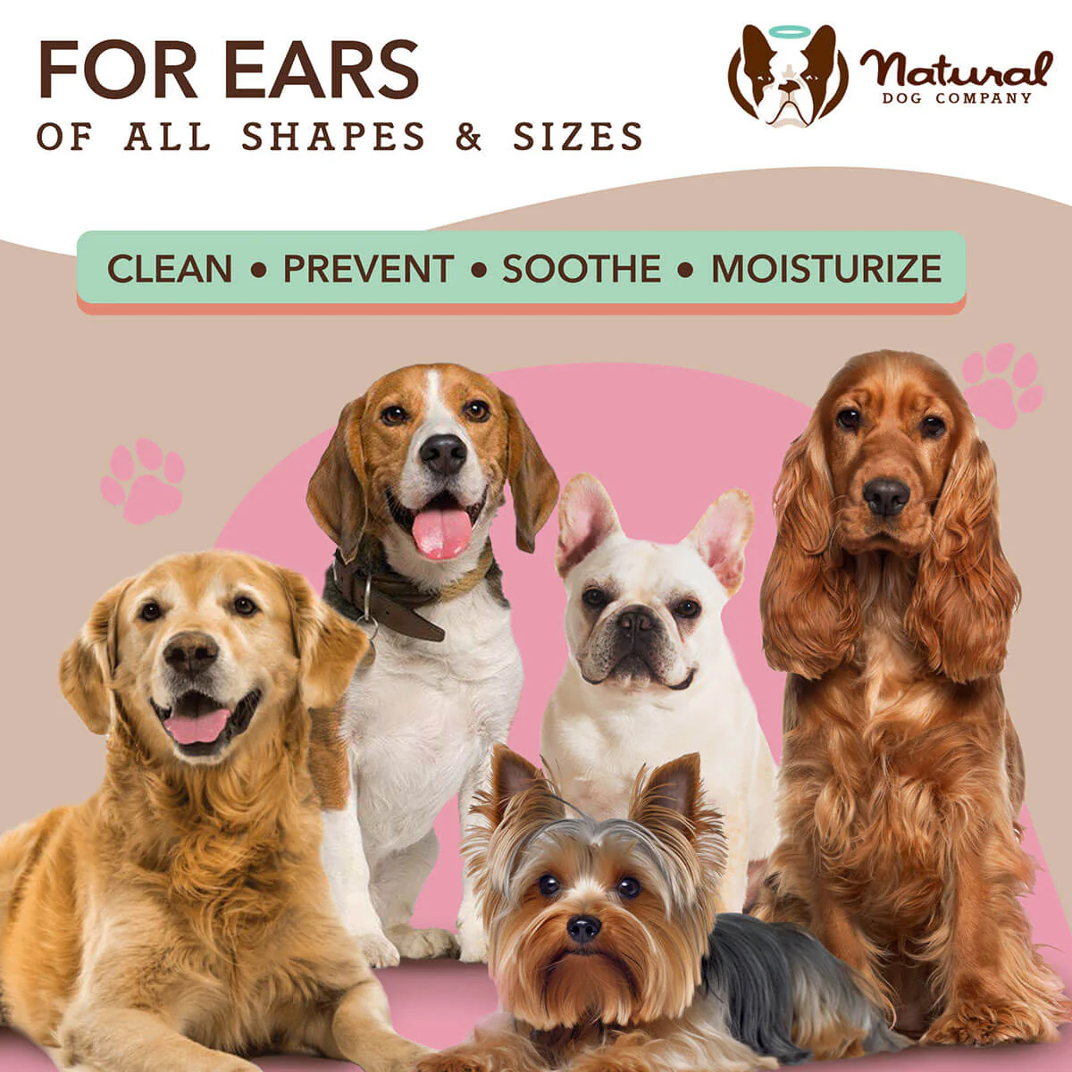 Ear Wipes - Image 6