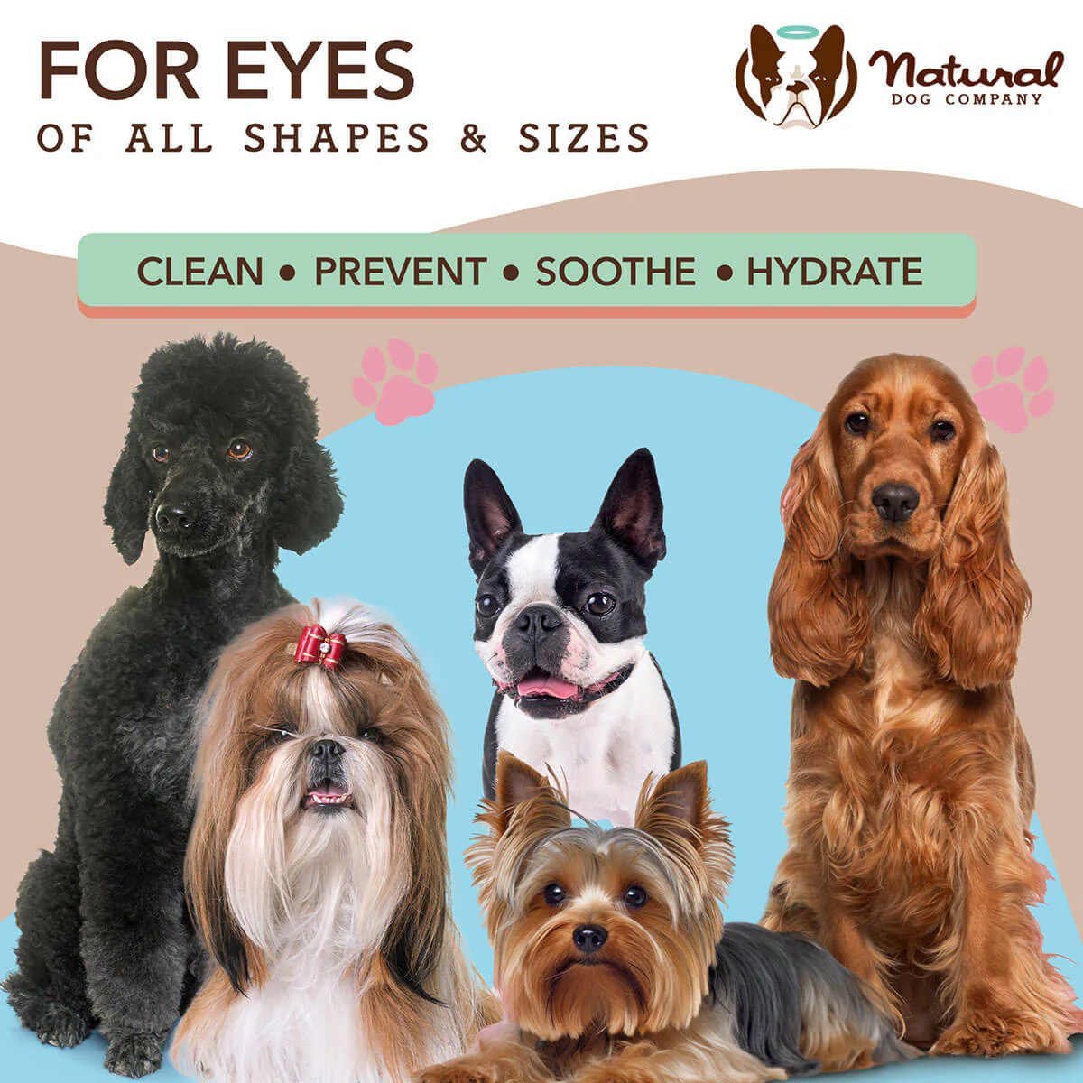 Eye Wipes - Image 7