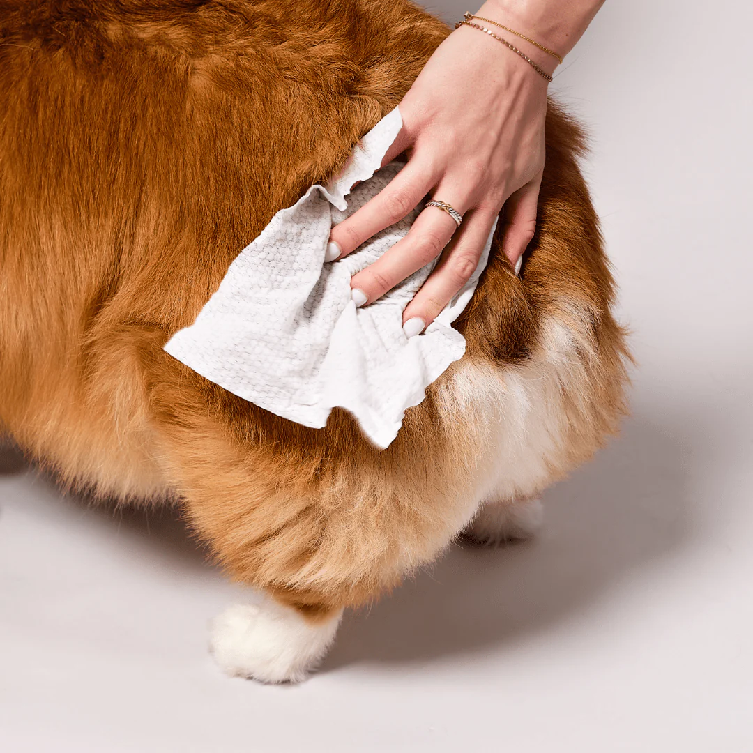 Grooming Wipes - Image 10