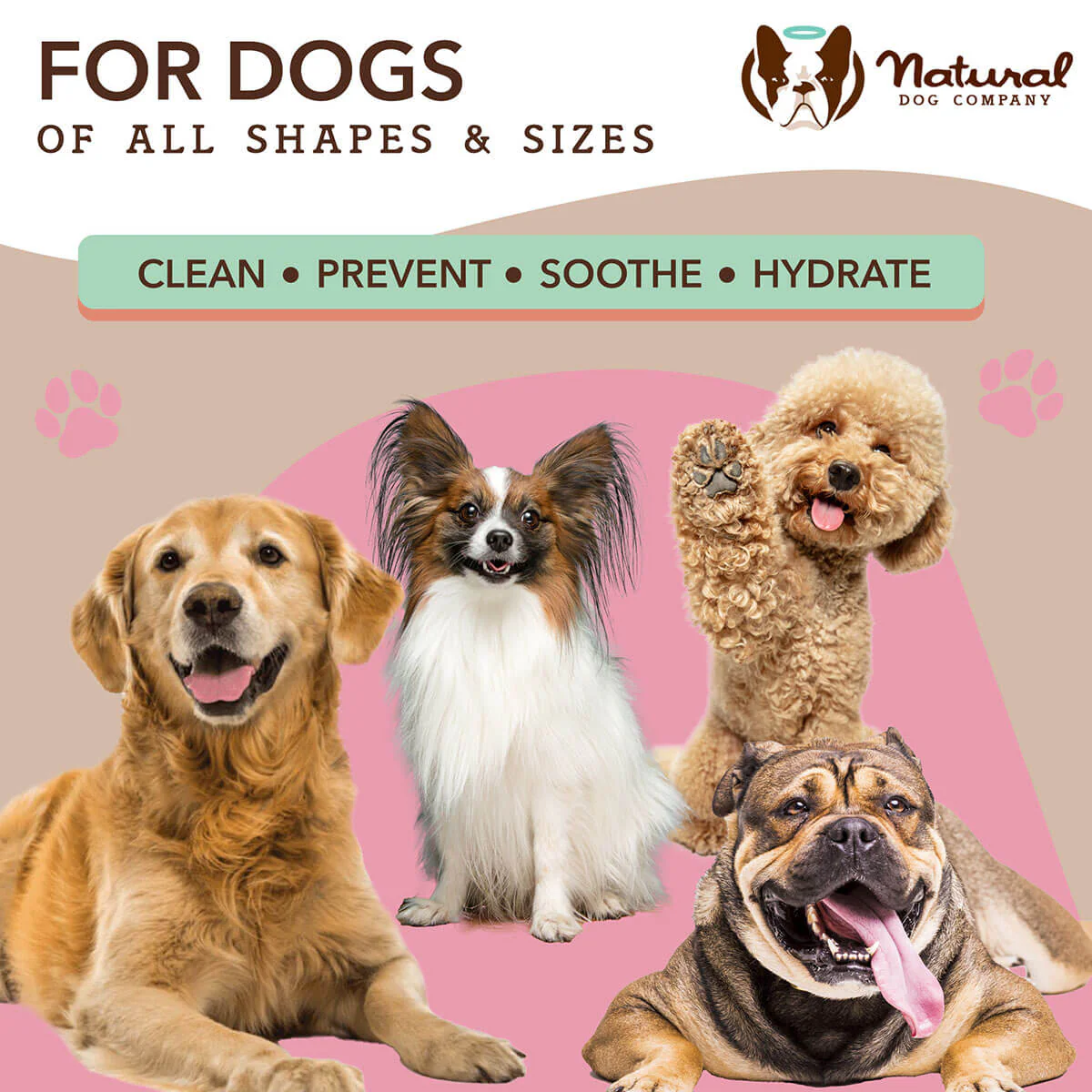 Grooming Wipes - Image 6