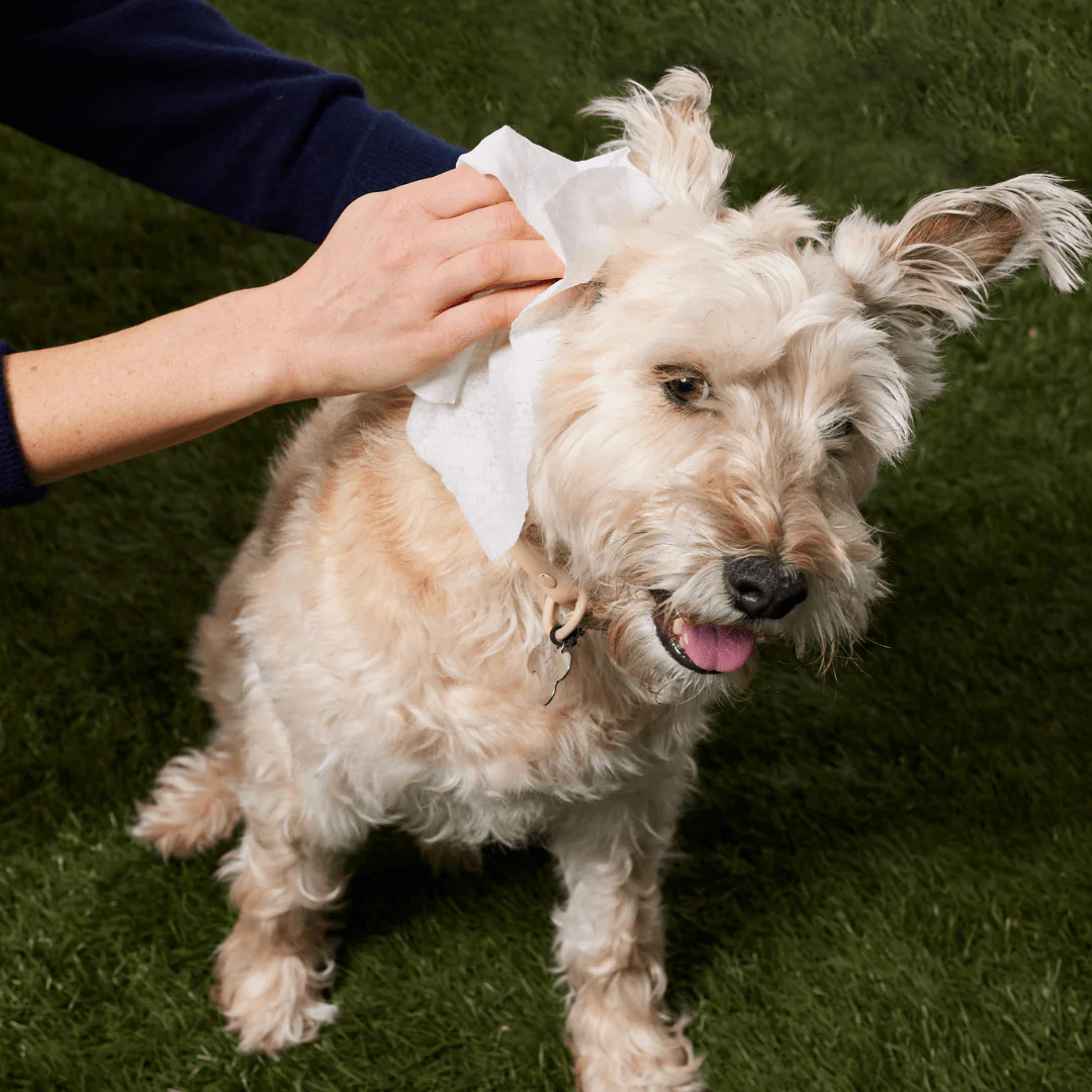 Grooming Wipes - Image 9