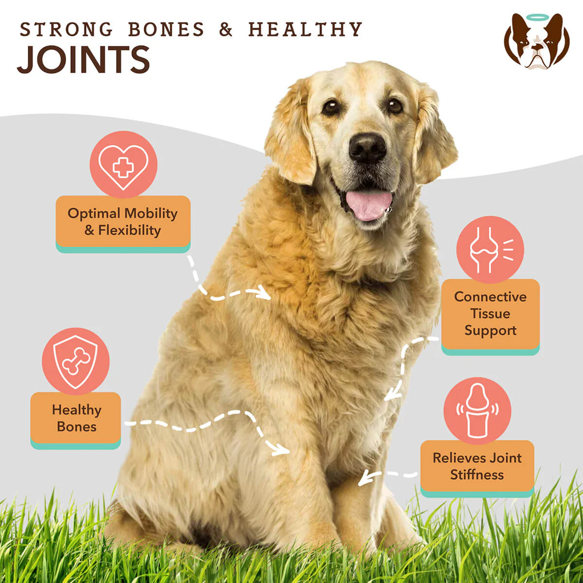 Hip & Joint Supplement - Image 10