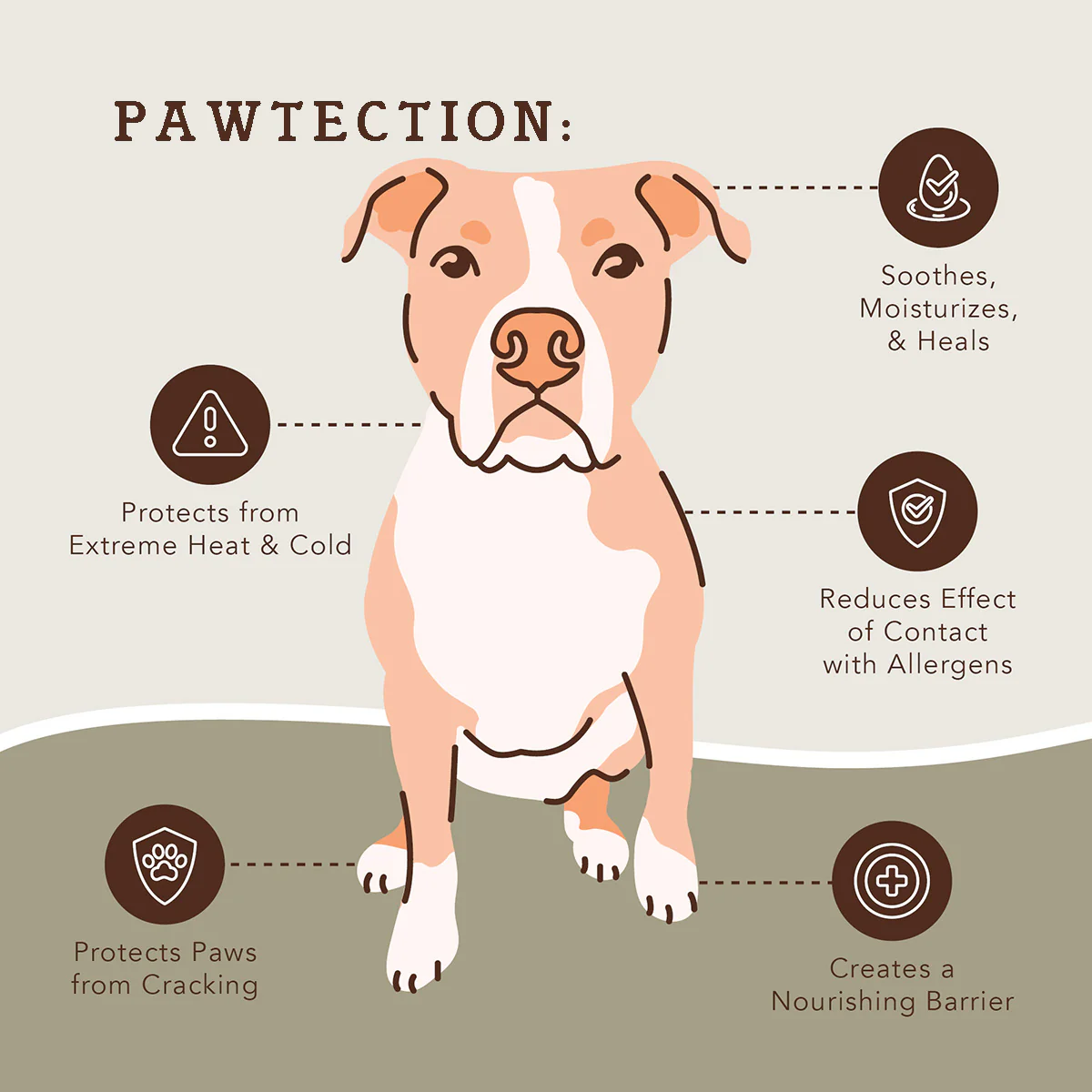 Itchy Paw Pack - Image 7