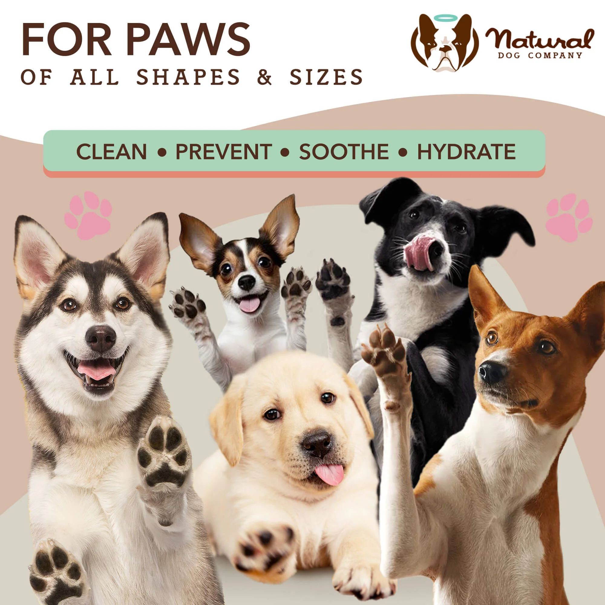 Paw Wipes - Image 6