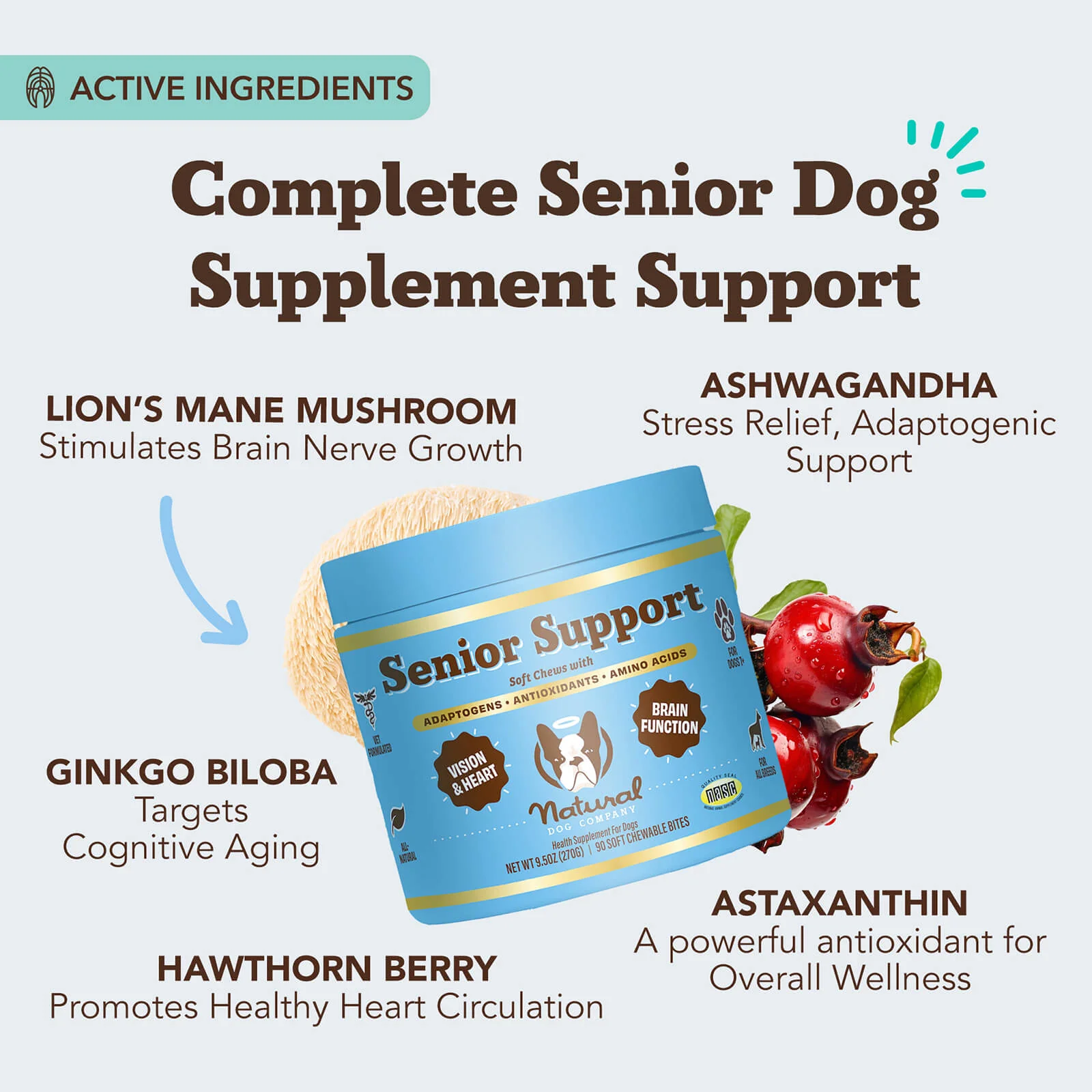 Senior Support Chew - Image 3