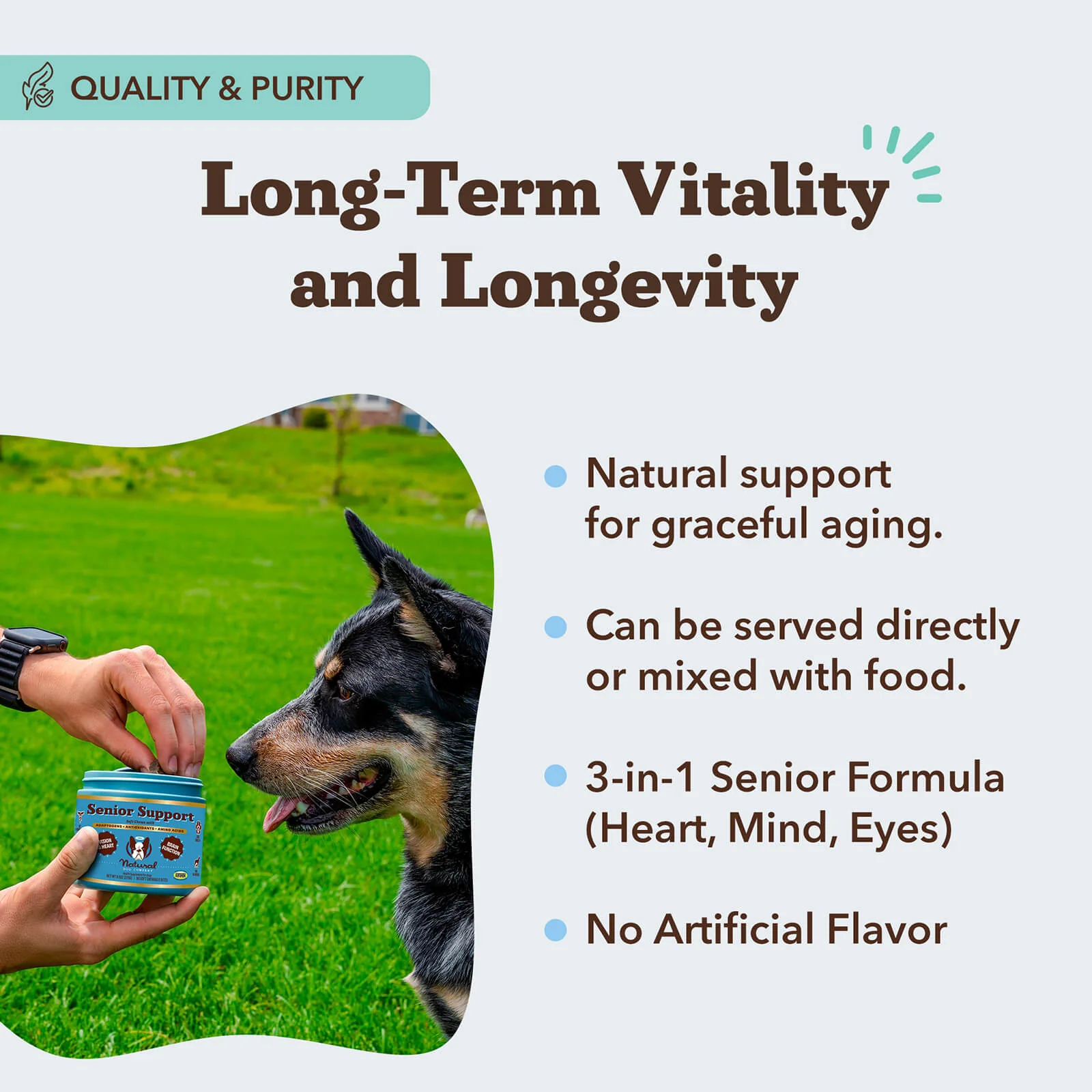 Senior Support Chew - Image 4