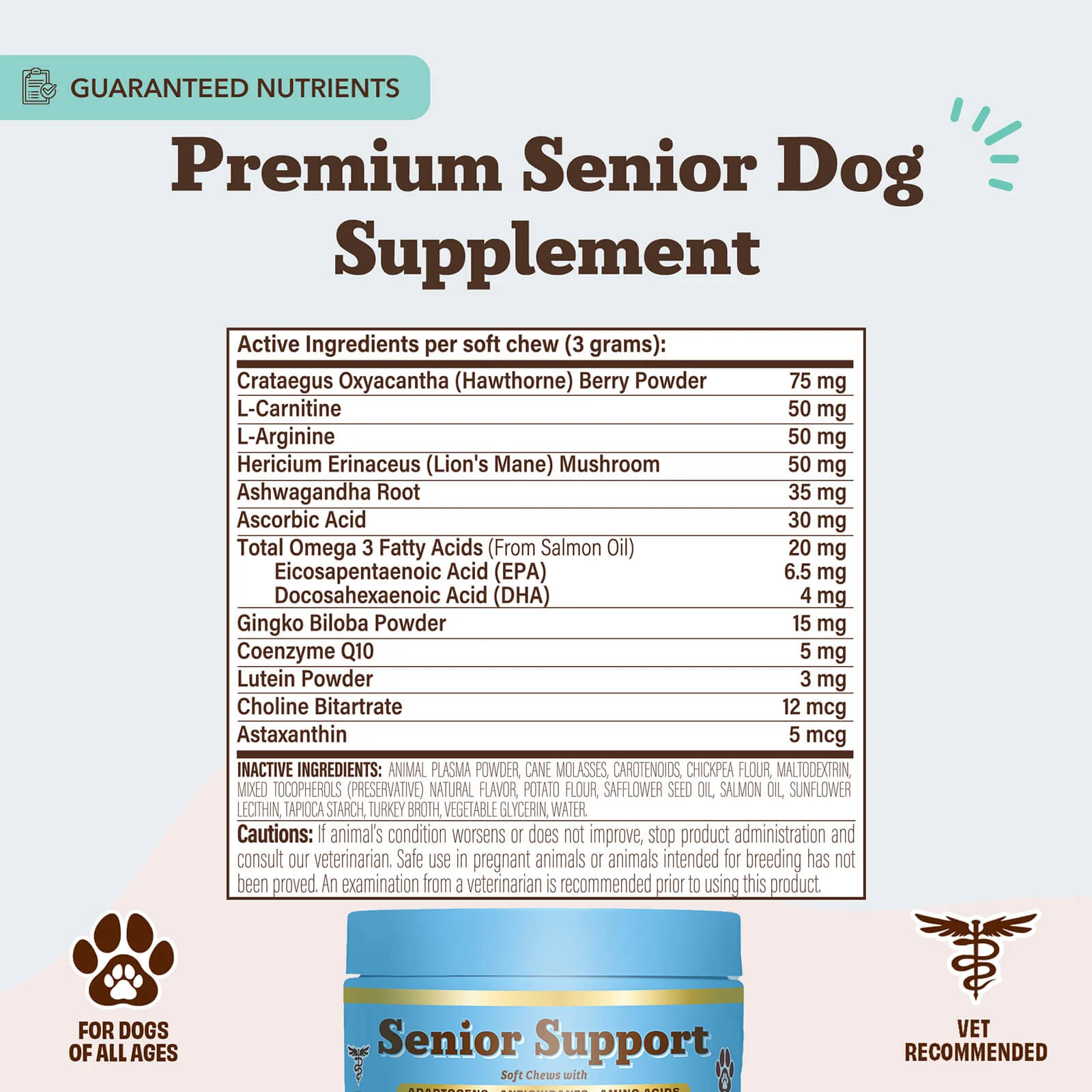 Senior Support Chew - Image 7
