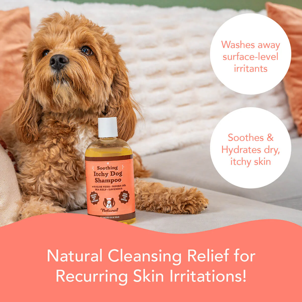 Skin & Coat Essentials Trio - Image 3