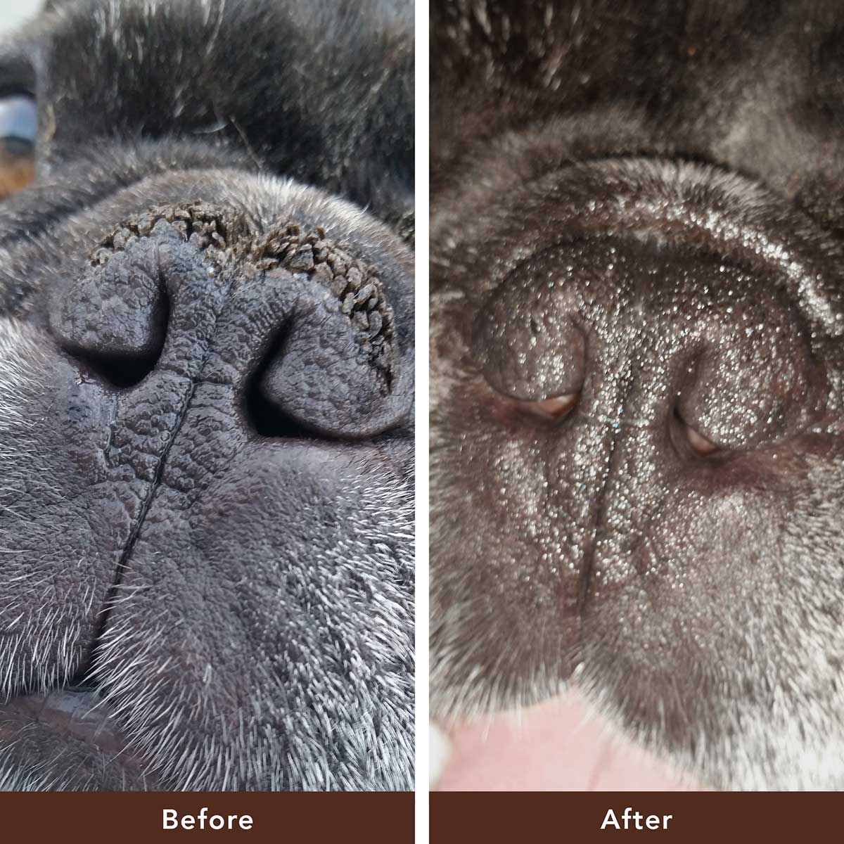 Snout Soother® - Image 5