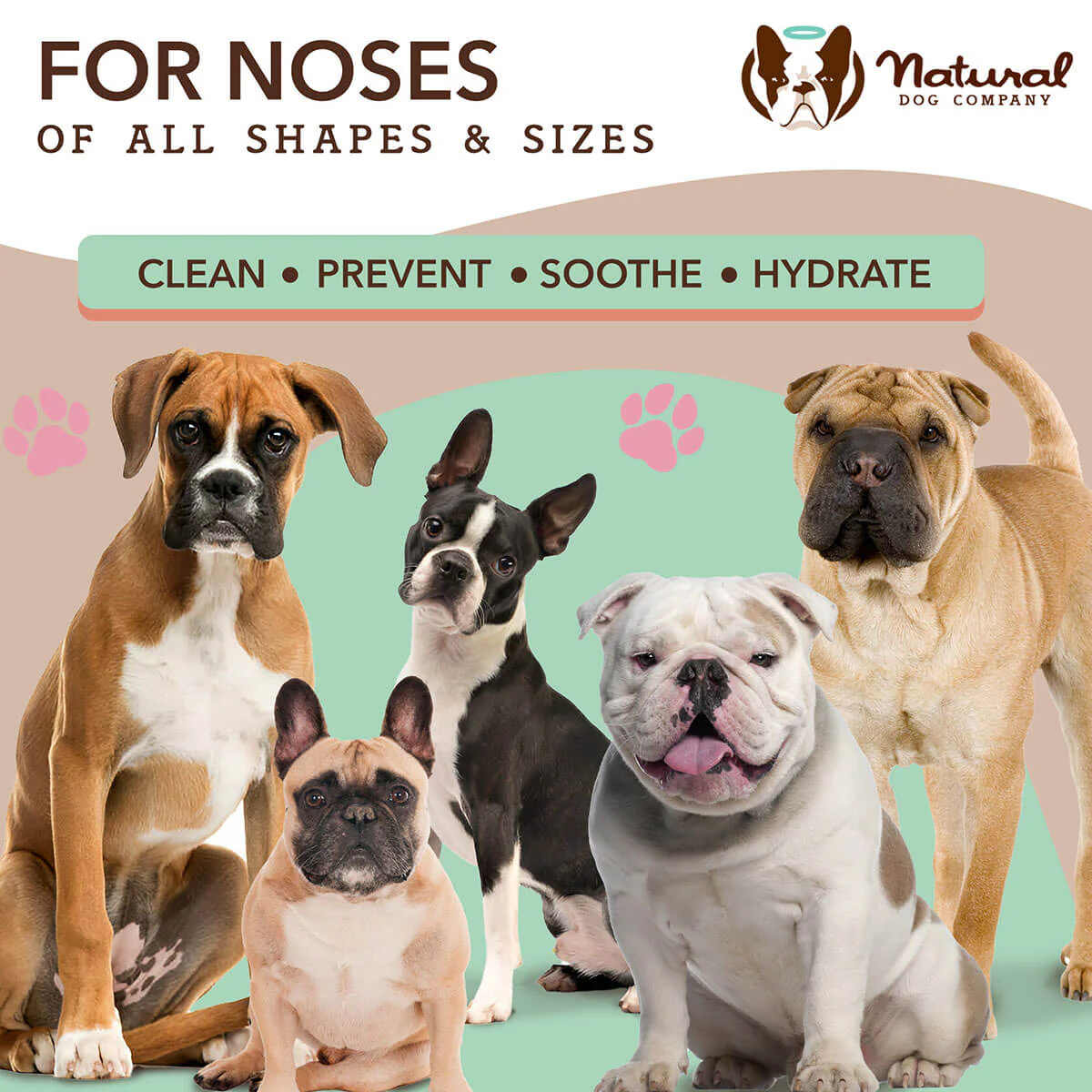 Snout Wipes - Image 6