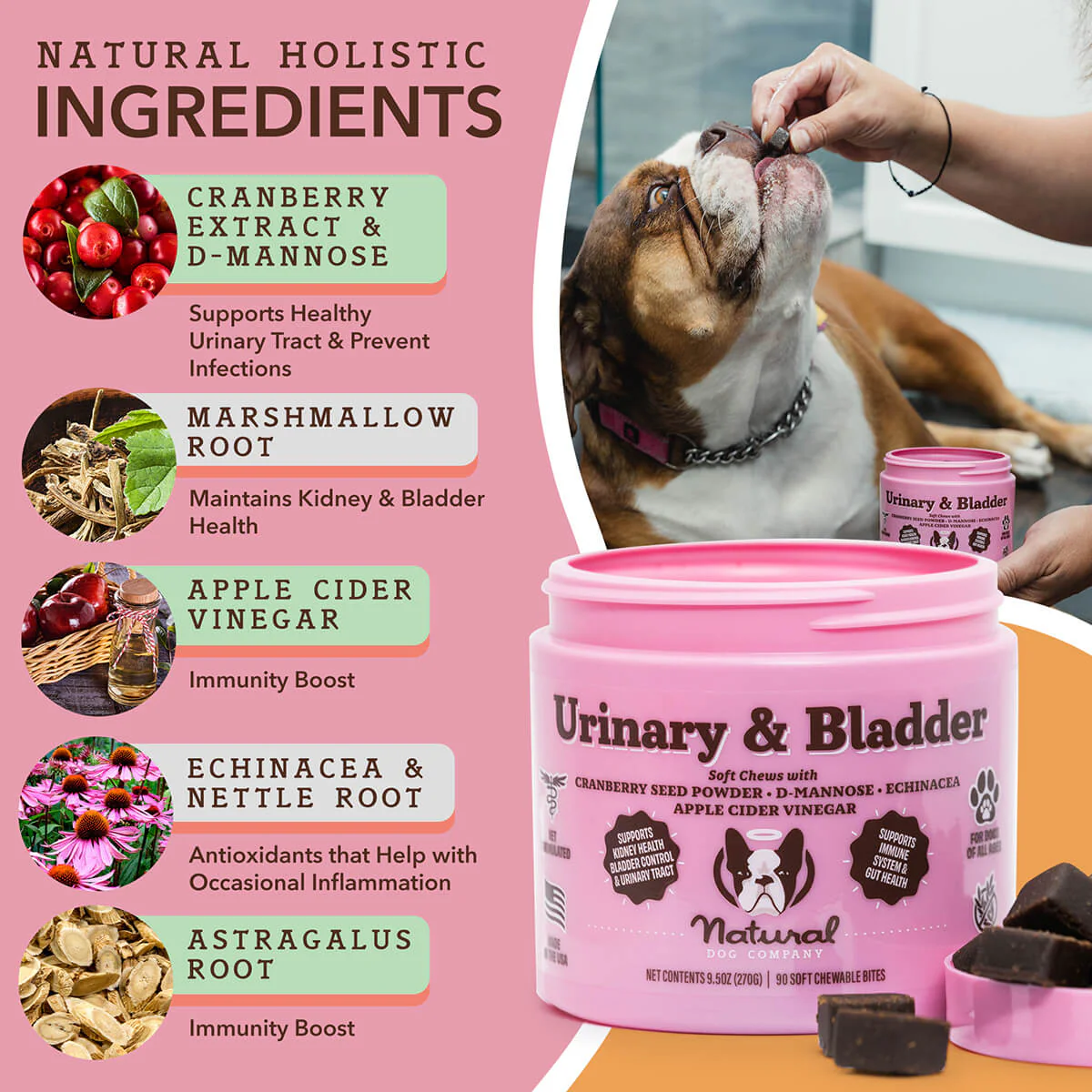 Urinary & Bladder Supplement - Image 3